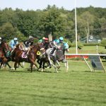 競馬の予想方法には色々なタイプが存在する