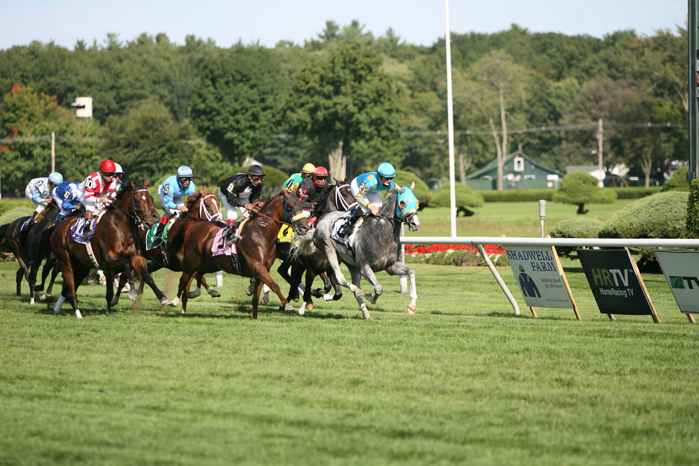 競馬の予想方法には色々なタイプが存在する